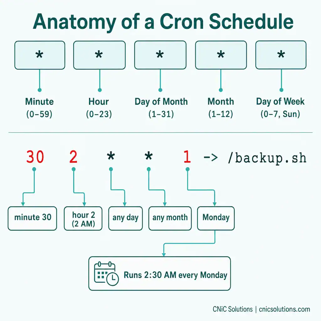 Infographic breaking down the five cron schedule fields with an annotated example