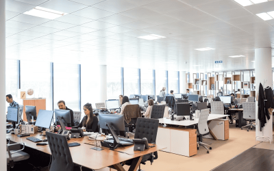 Modern open-plan office with employees working at computers in a bright, professional environment.